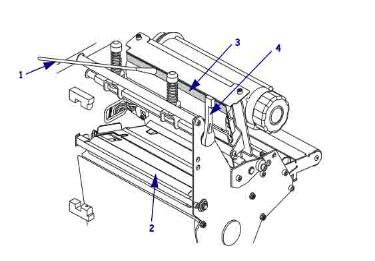 1661146306802953.jpg 1660552759421203.jpg